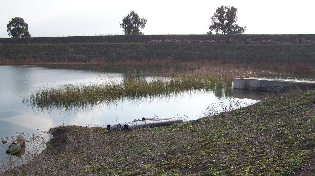 Tuberías abandonadas en la zona de las obras de modernización en el Bajo Guadalquivir que nunca se terminaron