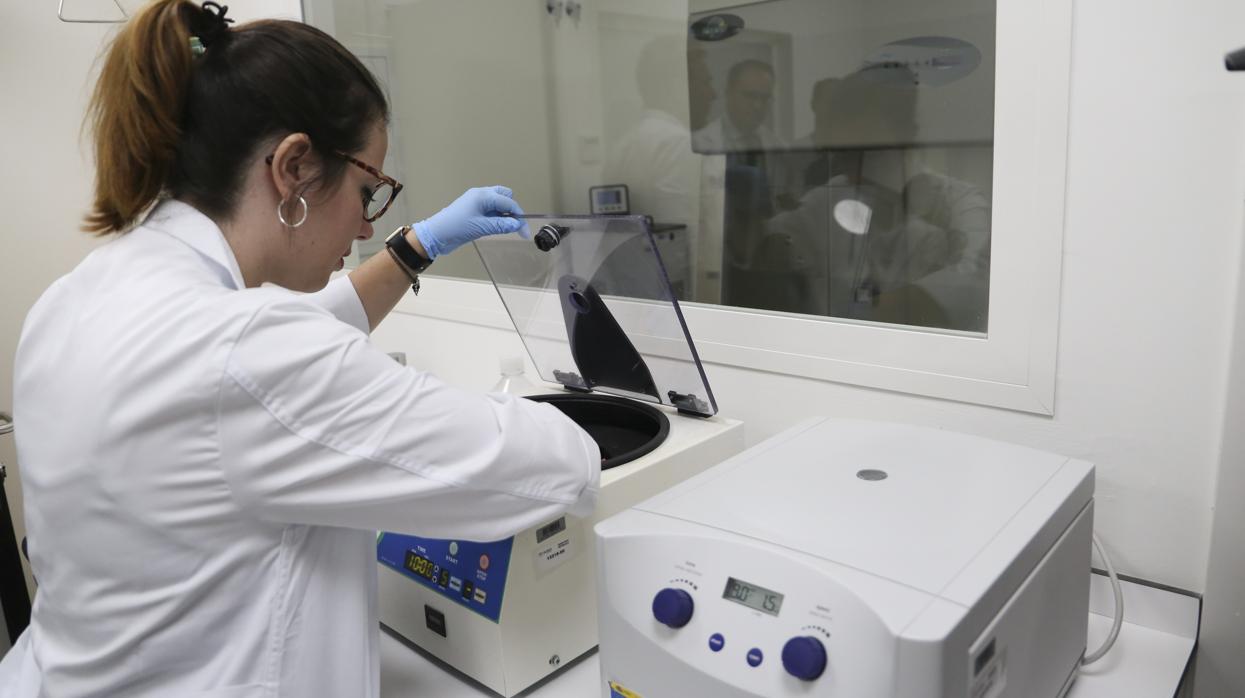 Laboratorios del Hospital Virgen Macarena de Sevilla