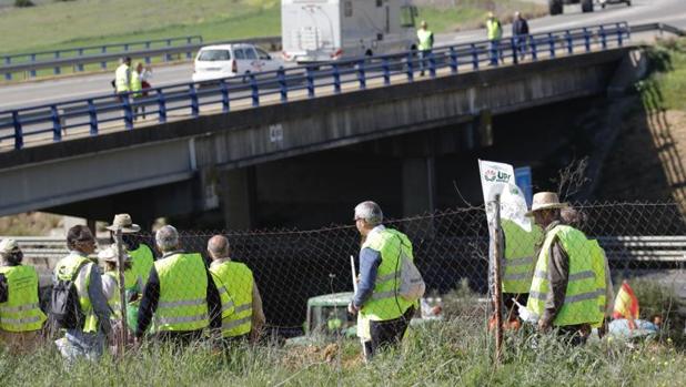 En directo: las carreteras sevillanas recuperan la normalidad tras la tractorada