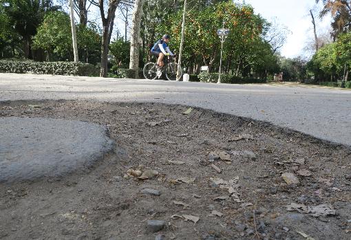 Asfalto del Parque de María Luisa