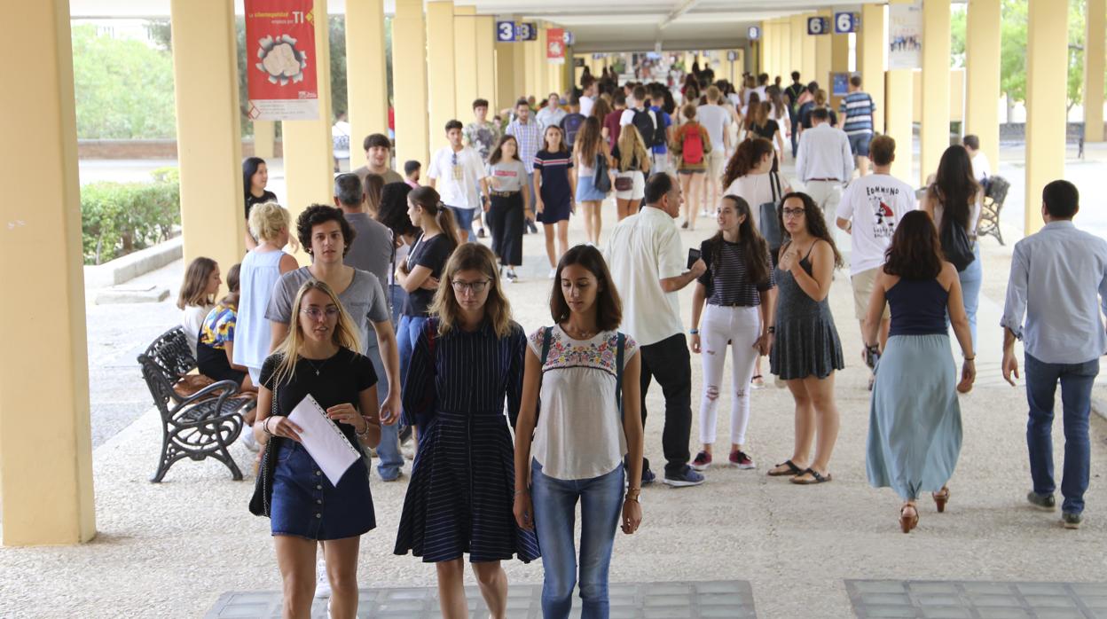 Alumnos de la Universidad Pablo de Olavide