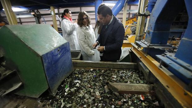 Casi el 20% de la basura que se recoge en Sevilla ya está separada en contenedores de reciclaje