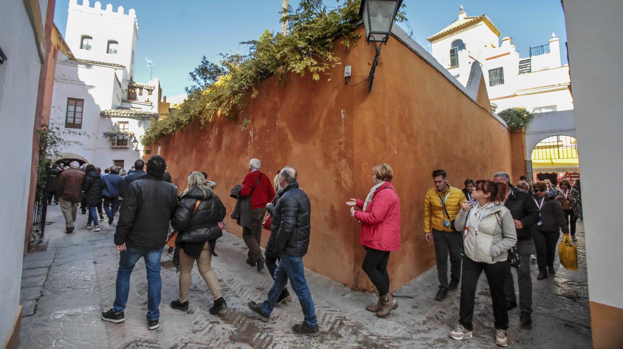 Riada de turistas por el Barrio de Santa Cruz