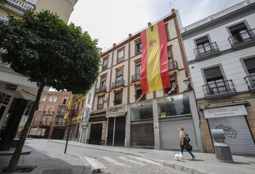 Imagen de la bandera que cuelga de un edificio de la plaza del Salvador