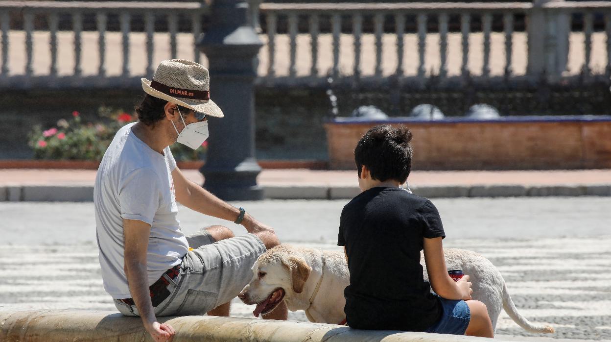 Tiempo en Sevilla: fin de semana de subidas de temperaturas y cielos despejados