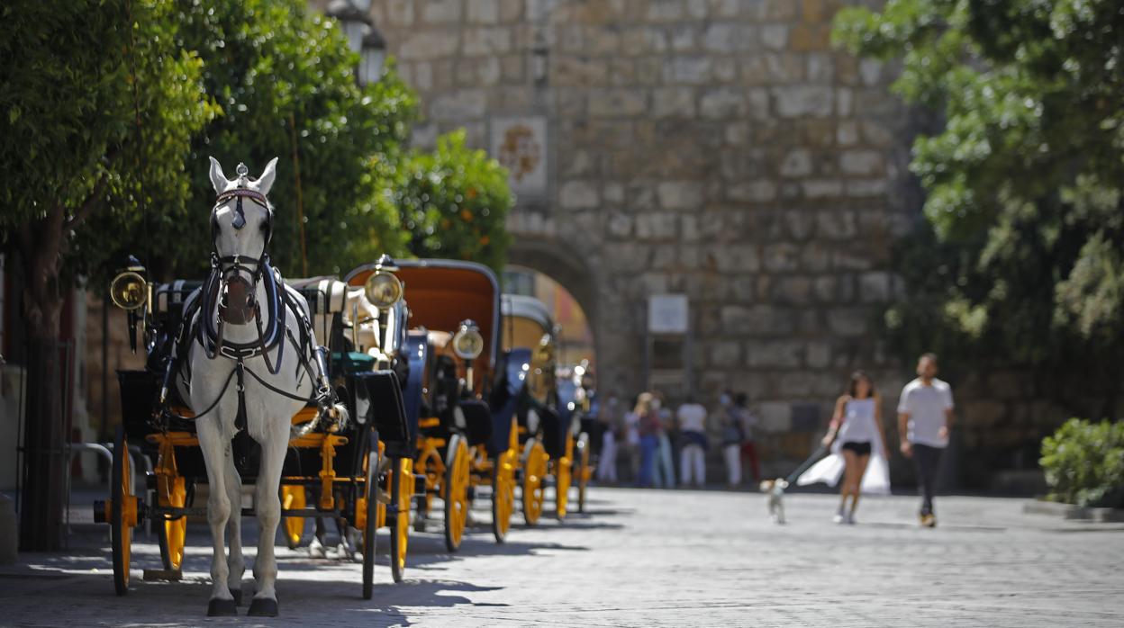 Escasos visitantes en el entorno monumental del Alcázar de Sevilla