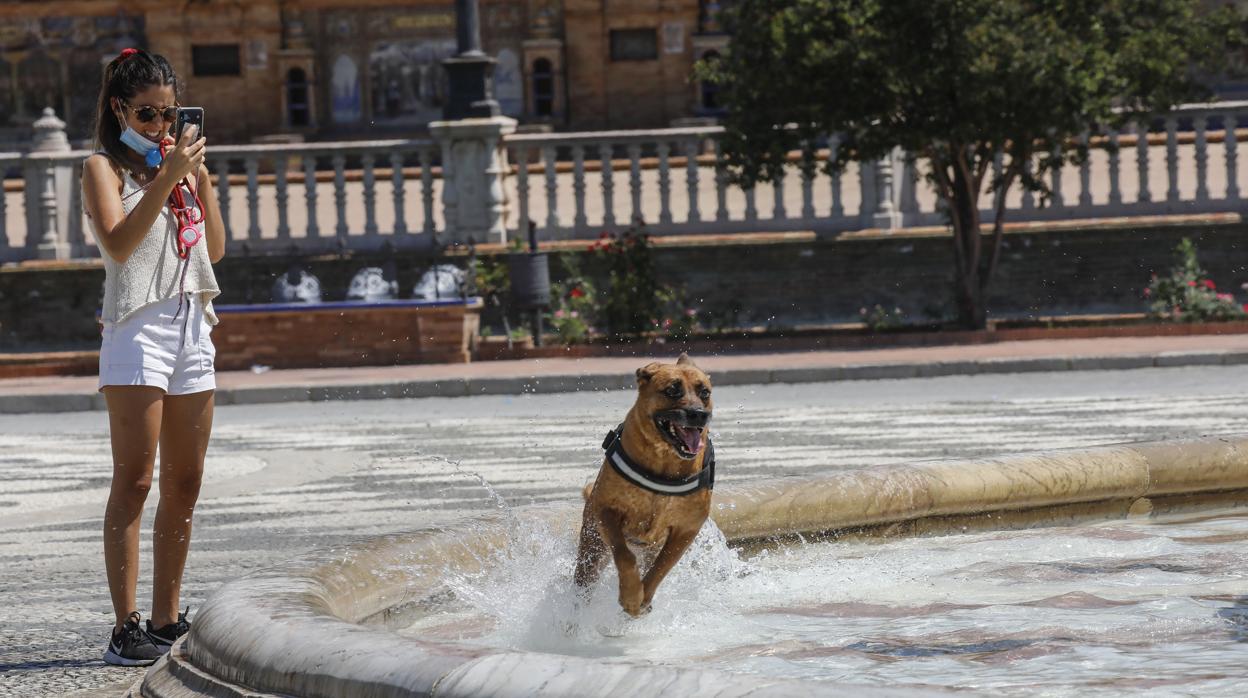 Desde que comenzó el verano, Sevilla ha estado en aviso por calor