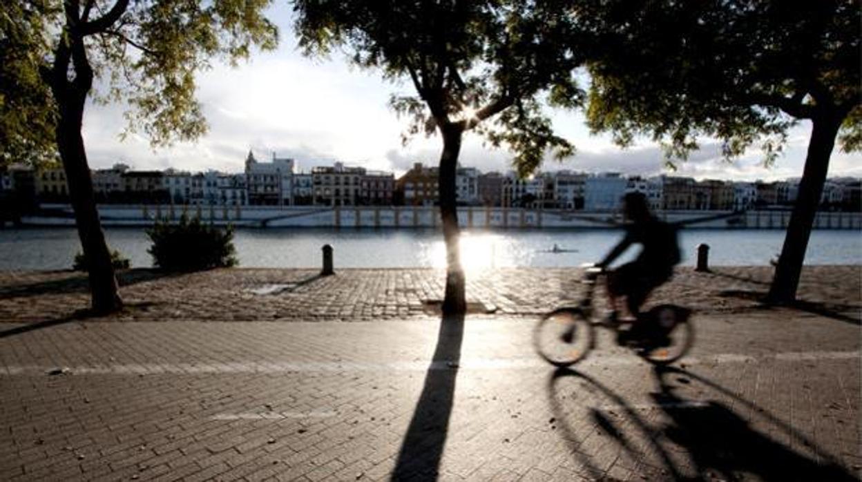 Tiempo en Sevilla: Leve descenso de las temperaturas para el jueves, aunque subirán las mínimas el fin de semana