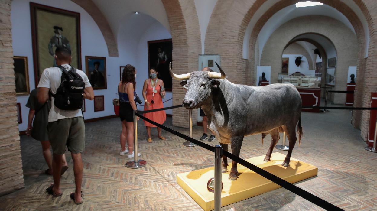 Interior del museo taurino de la Maestranza