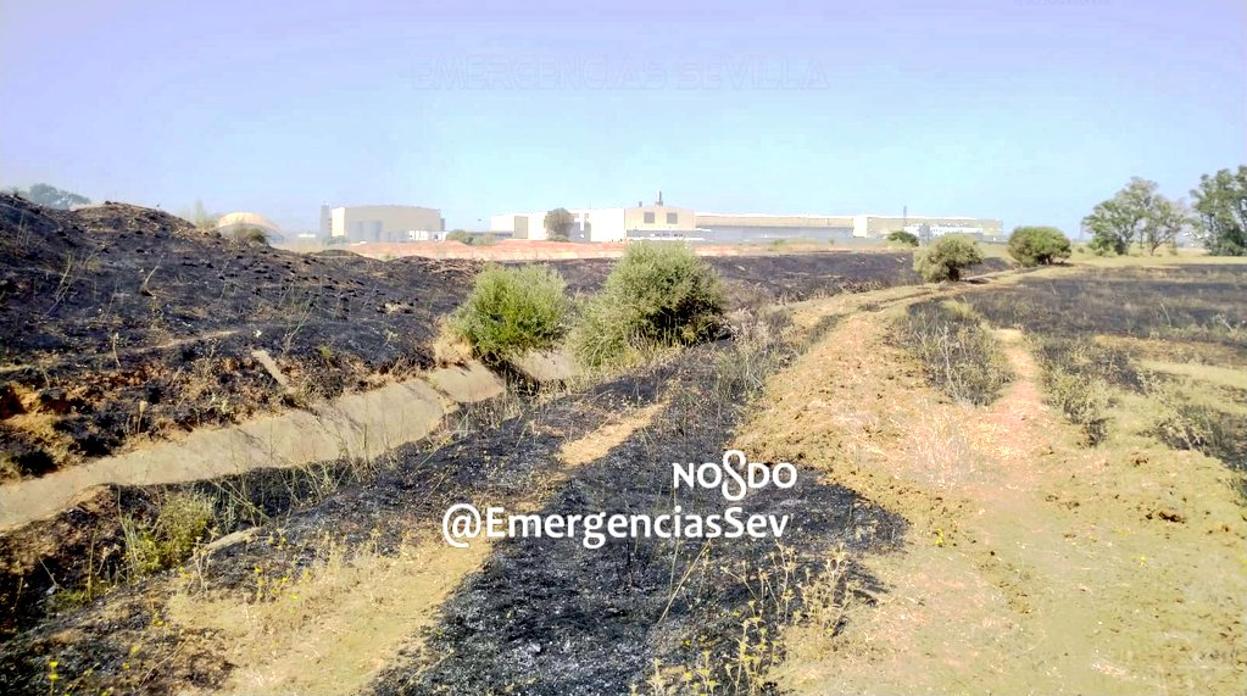 Imagen de la zona calcinada tras el incendio