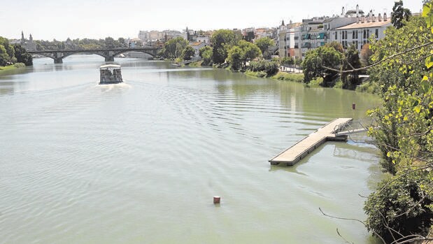 Sevilla fumiga las zonas húmedas de la ciudad para acabar con el mosquito