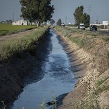 Uno de los canales de riego de un arrozal existente entre La Puebla del Río e Isla Mayor