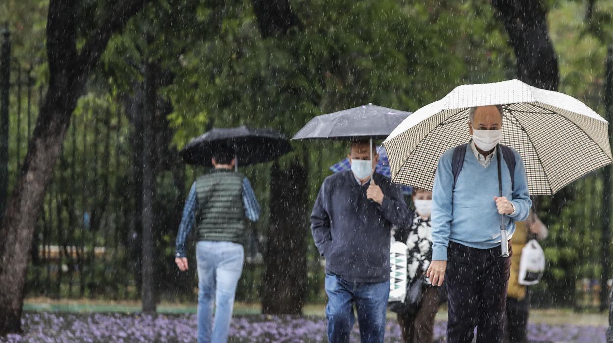 Alerta amarilla por lluvias y tormentas para el viernes en Sevilla