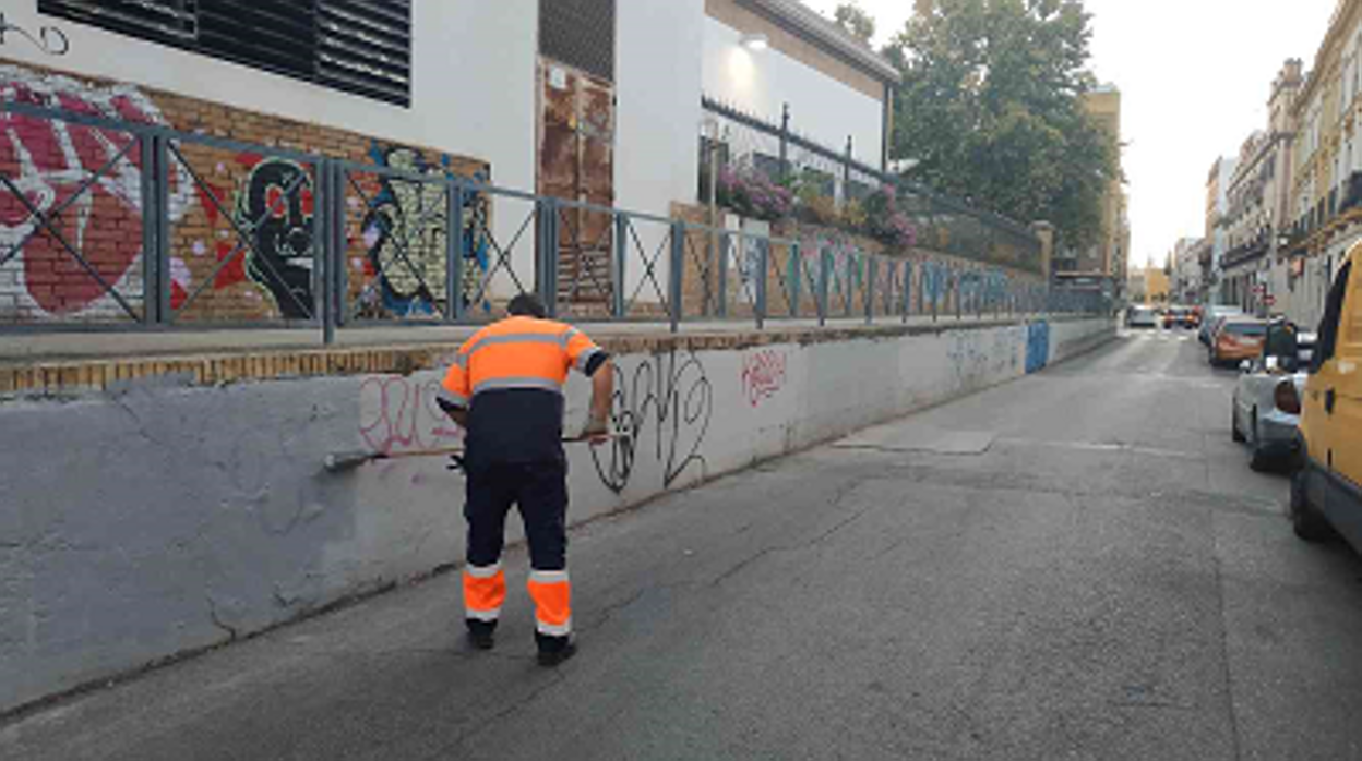 Trabajos de limpieza en un coleigio