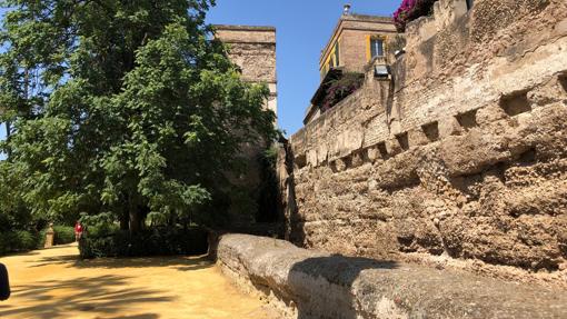 La muralla que da al Callejón del Agua