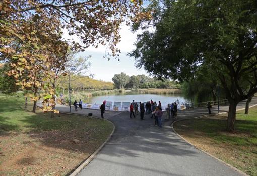 Los mejores parques y zonas verdes de Sevilla para disfrutar del otoño al aire libre