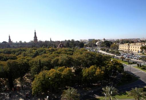 Los mejores parques y zonas verdes de Sevilla para disfrutar del otoño al aire libre