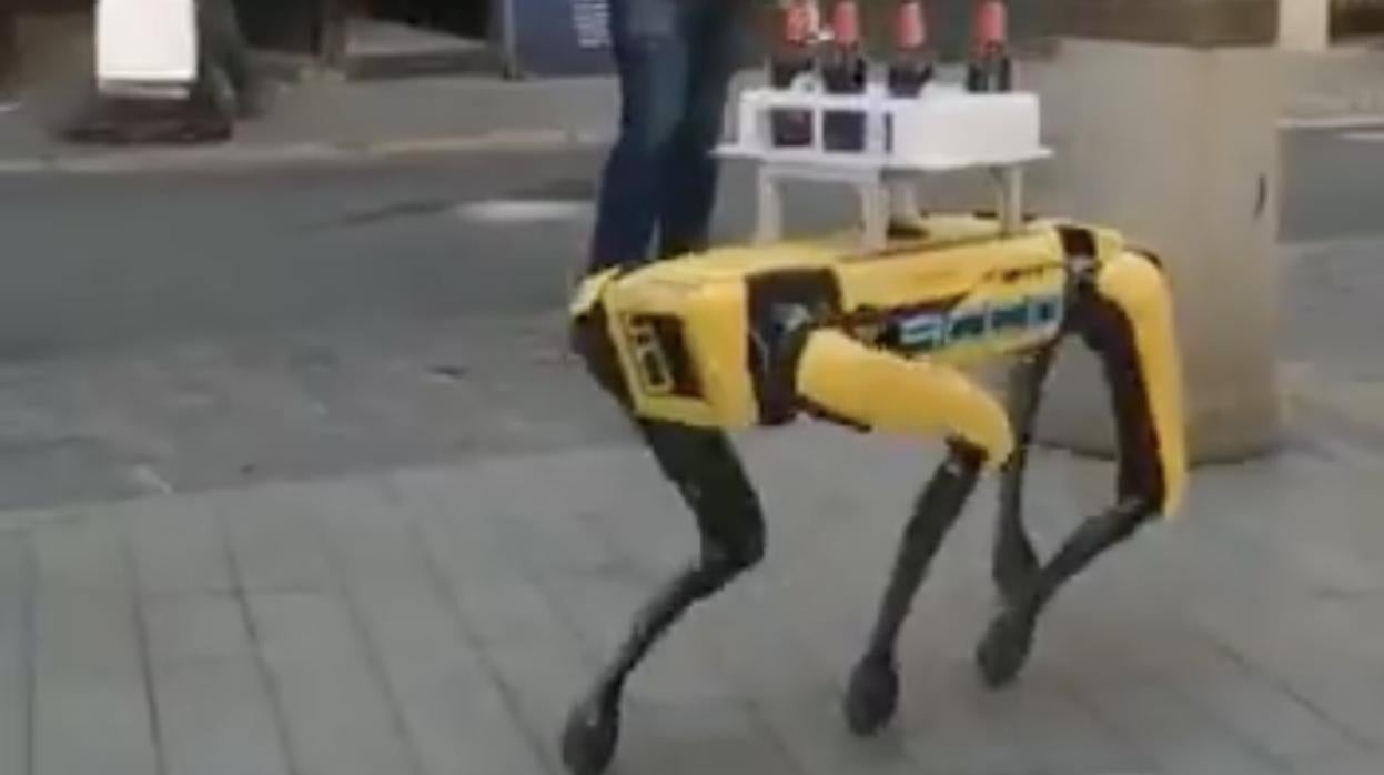 El robot canino con una bandeja de cervezas en la plaza de la Pescadería