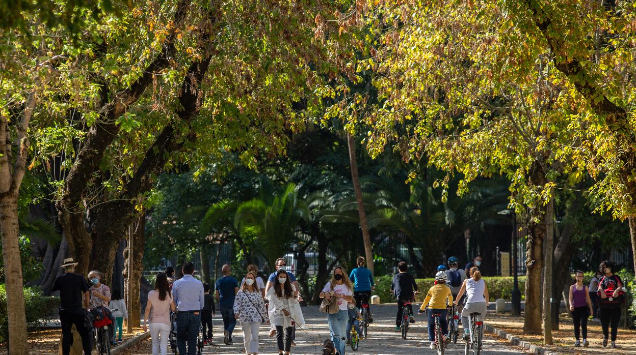 El tiempo en Sevilla para la próxima semana será estable y cálida