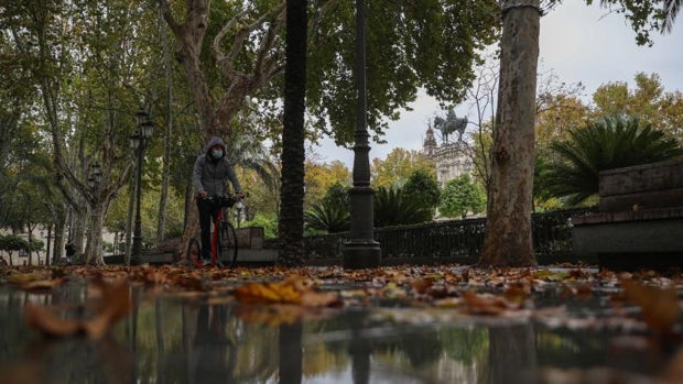 Tiempo en Sevilla: el puente de diciembre arranca con frío y cielos despejados