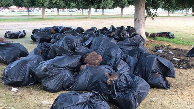 Los narcos usan un solar de Sevilla de punto limpio para los restos de plantaciones de marihuana