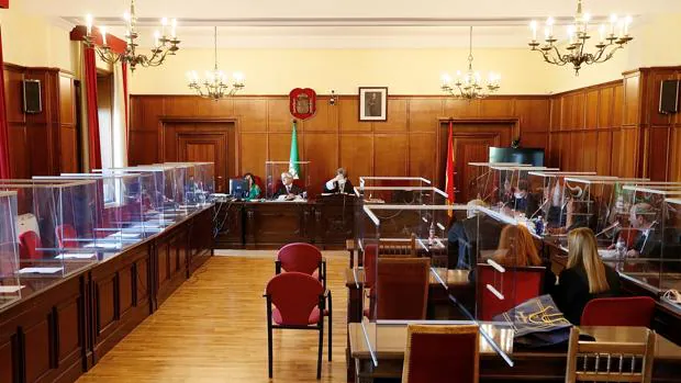 El 2020 en los tribunales de Sevilla: El triple crimen de Dos Hermanas entre mamparas