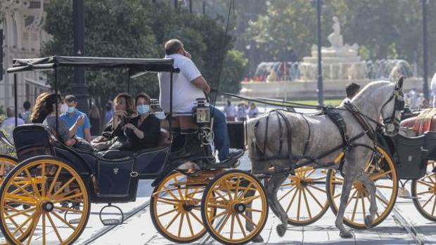 El idioma como alternativa para atraer visitantes a Sevilla en tiempos de Covid