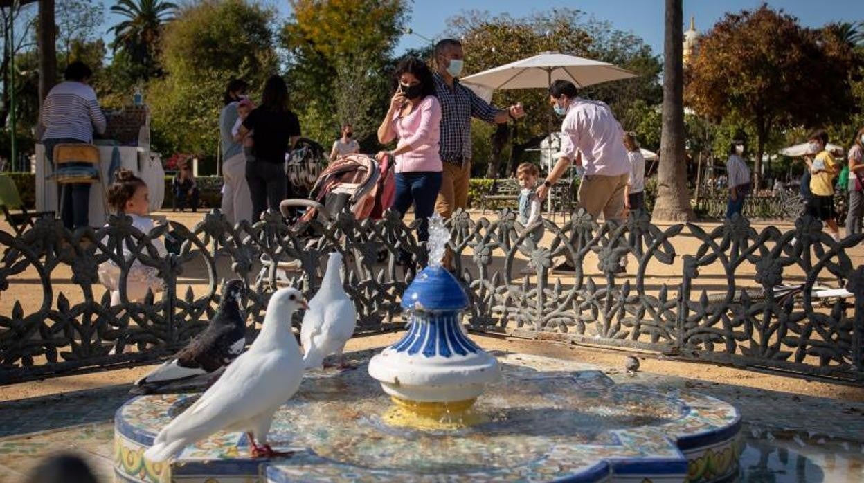 Varias personas aprovechan la subida de temperaturas en Sevilla para ir al parque de María Luisa