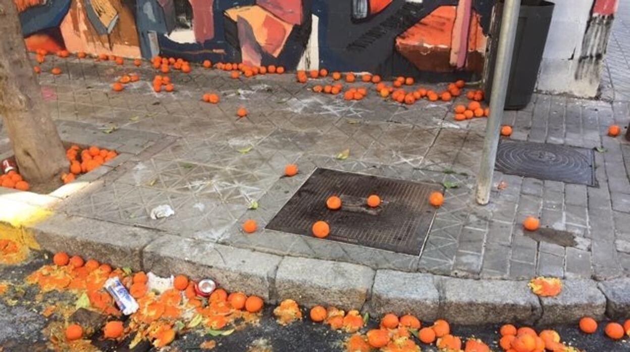Imagen de naranjas caídas por el suelo