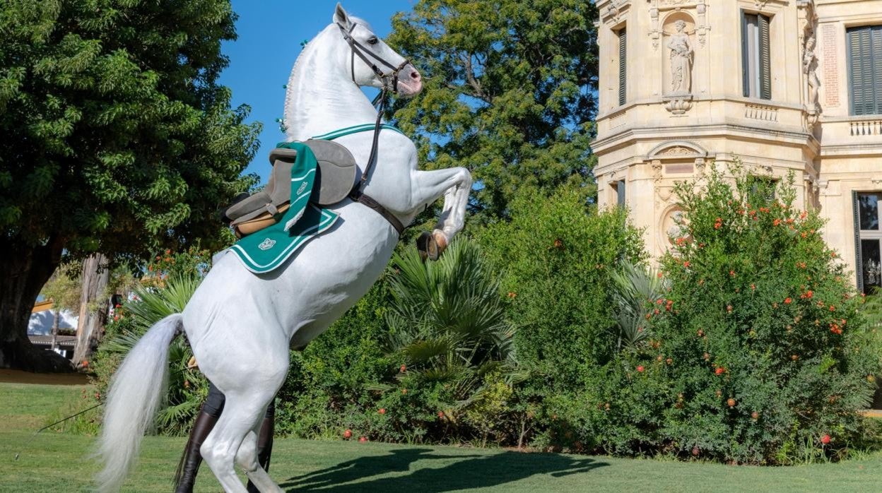 La Real Escuela Andaluza de Arte Ecuestre celebra el Día de Andalucía con un espectáculo vía streaming