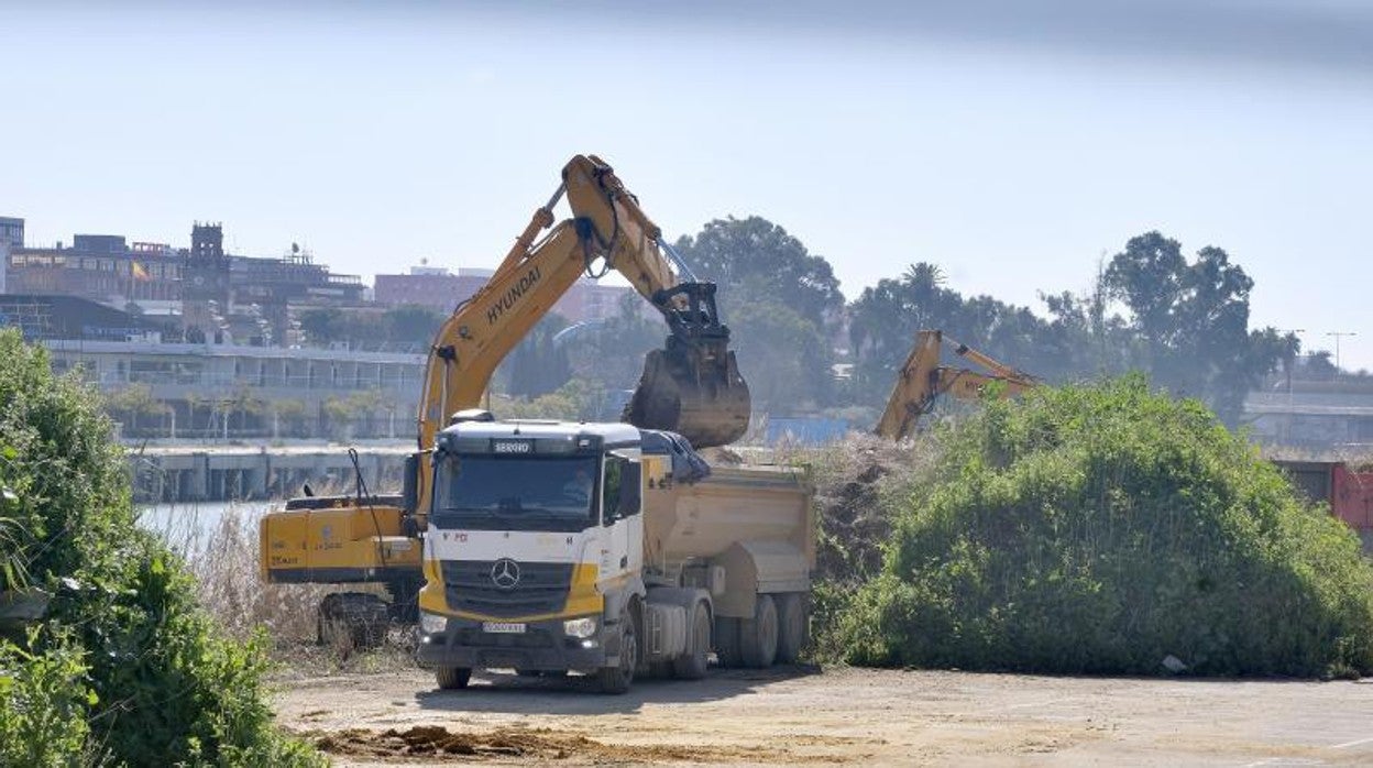 Inicio de los trabajos en la parcela del Jardín de las Cigarreras