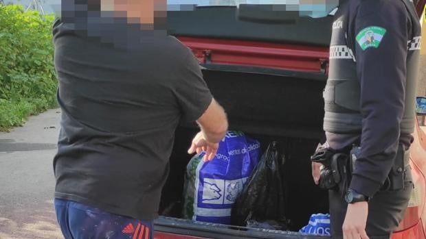 La Policía Local de Sevilla detiene a un hombre con 2,6 kilos de cogollos de marihuana en el maletero