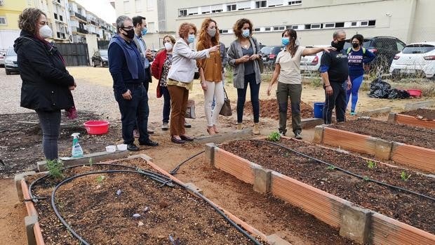 El Ayuntamiento pone en marcha a partir de abril un programa para fomentar los huertos urbanos sevillanos