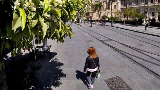 Tiempo en Sevilla: la primera semana de la primavera dejará temperaturas cercanas a los 30 grados