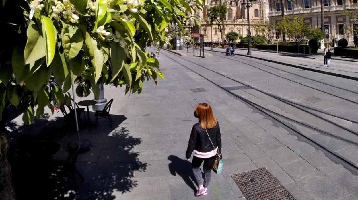 Las temperaturas aumentarán en los próximos días en Sevilla