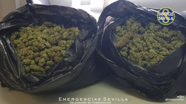 La Policía interviene 500 plantas y 10 kilos de cogollos de cannabis en varias acciones en el Polígono Sur