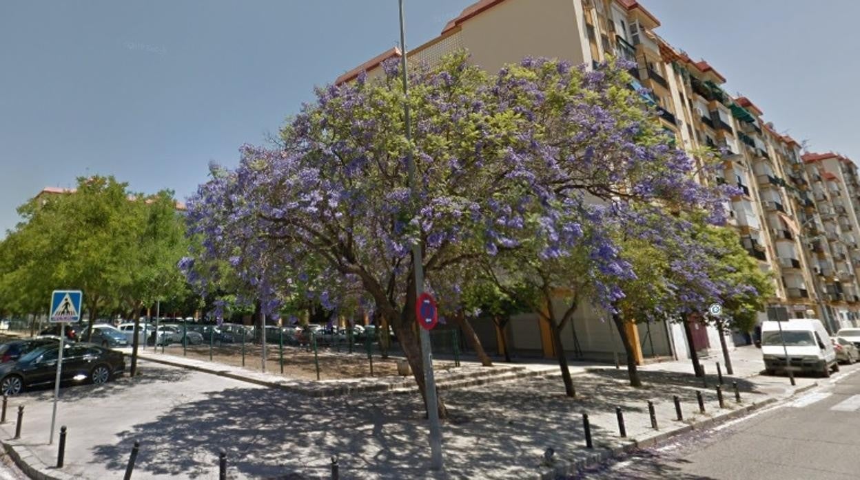 Lugar del suceso en la esquina de la Ronda de Triana con Niculoso Pisano