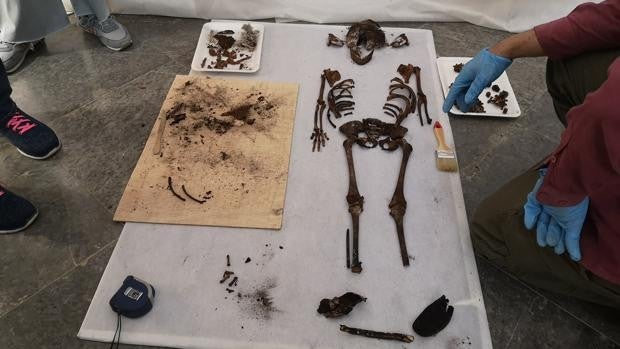 Autopsia a la niña del Alcázar de Sevilla: ¿hija bastarda de Alfonso X?