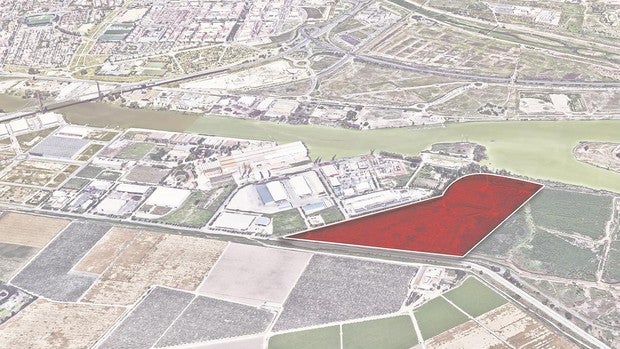 Greenland inicia los trámites para la fábrica de paneles en el Puerto de Sevilla