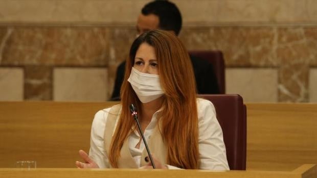 El Plan de Movilidad termina por romper al grupo municipal de Podemos en el Ayuntamiento de Sevilla