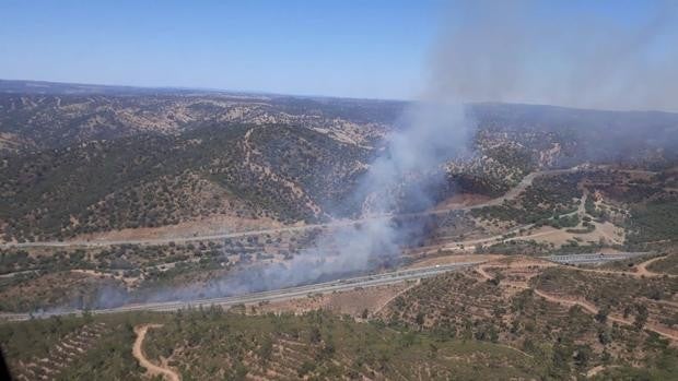 Condenado a dos años por provocar adrede un incendio forestal entre El Garrobo, Gerena y Guillena