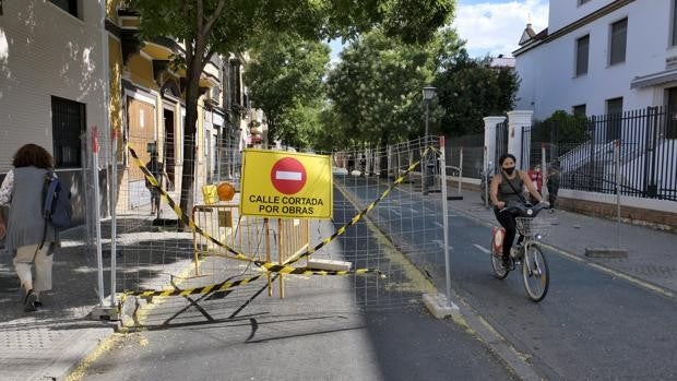 Denuncian la tala de 50 árboles en la reurbanización de la avenida de la Cruz Roja