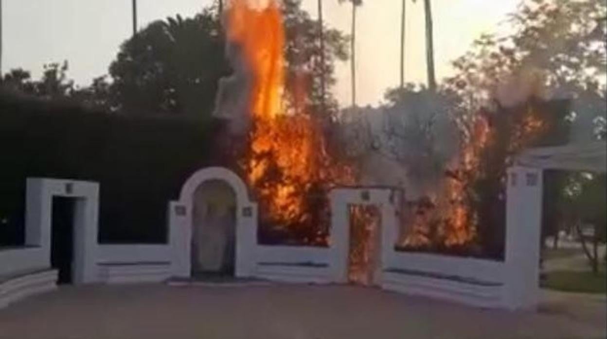 Incendio registrado en el Parque de María Luisa el pasado sábado