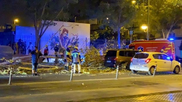 Una fuerte racha de viento sorprende a Sevilla