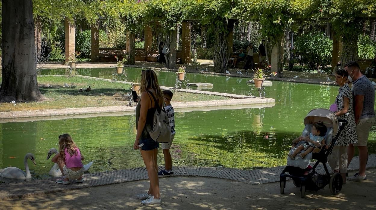 Las temperaturas seguirán alta este fin de semana en Sevilla