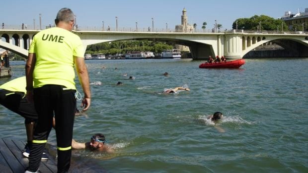 Casi 300 nadadores militares se tiran al río Guadalquivir a favor de la donación de médula