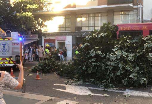 Muchas personas pasaban por la calle Recaredo a esa hora