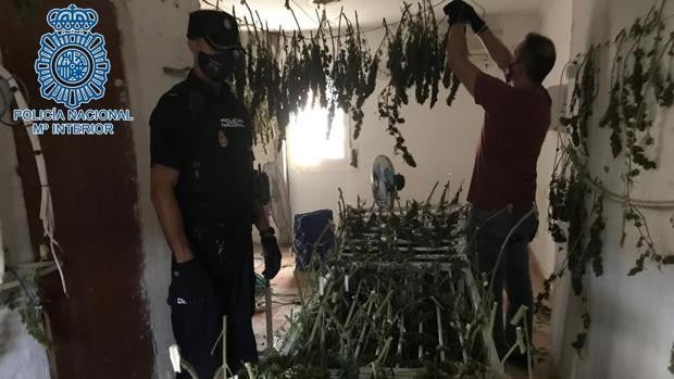 Los bloques de la marihuana en el Polígono Norte de Sevilla