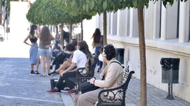 Permitir el cambio de nombre a los 'trans', «imprescindible» para los alumnos de la Universidad de Sevilla