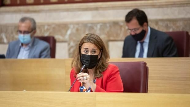 El Consejo Económico y Social respalda el presupuesto del Ayuntamiento de Sevilla, pero con matices